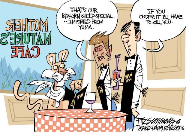 Daily Fitz Cartoon: The Catalina Special
